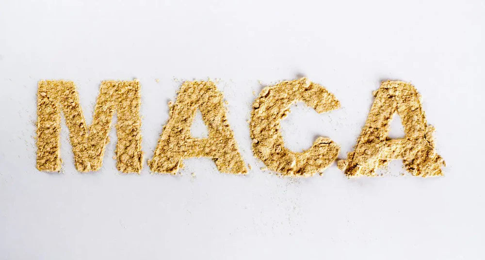 Properties, Benefits, and Use of Peruvian Maca